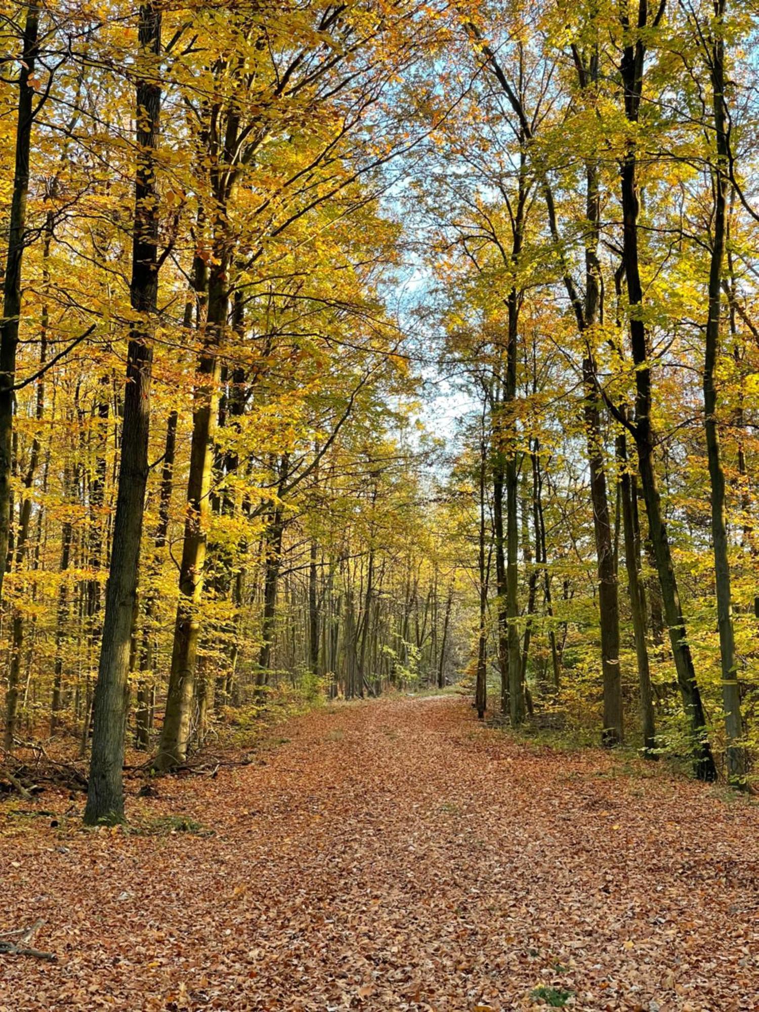 Mein Appartement Huerth Koeln Esterno foto